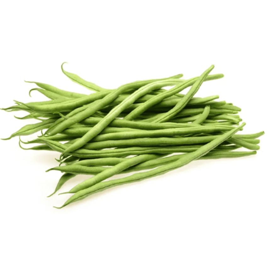 Vagem Holandesa Orgânica CAPELA 300g