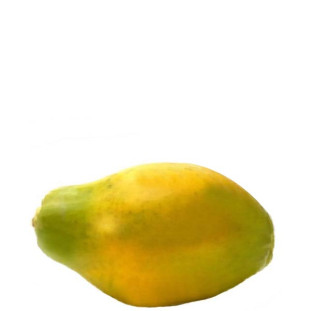 Mamão Papaya Unidade