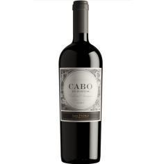 Vinho Chileno Tinto Cabernet Sauvignon Cabo de Hornos SAN PEDRO 750ml