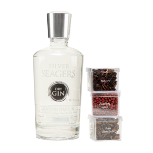 Kit Dry Gin Especiarias SILVER SEAGERS 750ml