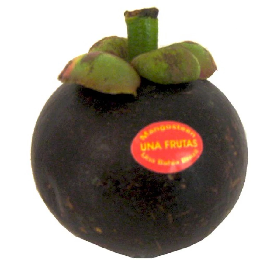 Mangostin unidade
