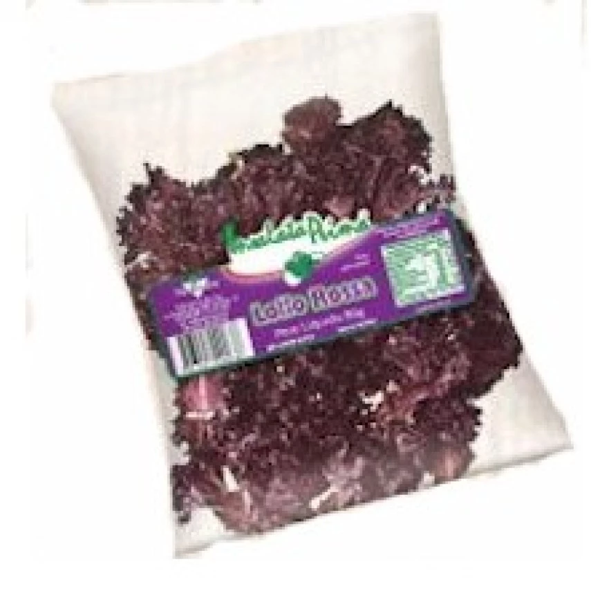 LOLLO ROSSA INSALATA PRIMA 90G