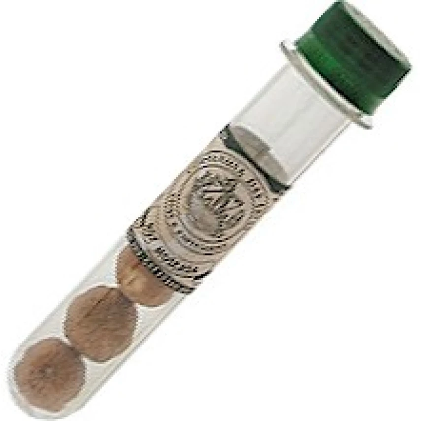 NOZ MOSCADA CIA DAS ERVAS 15G