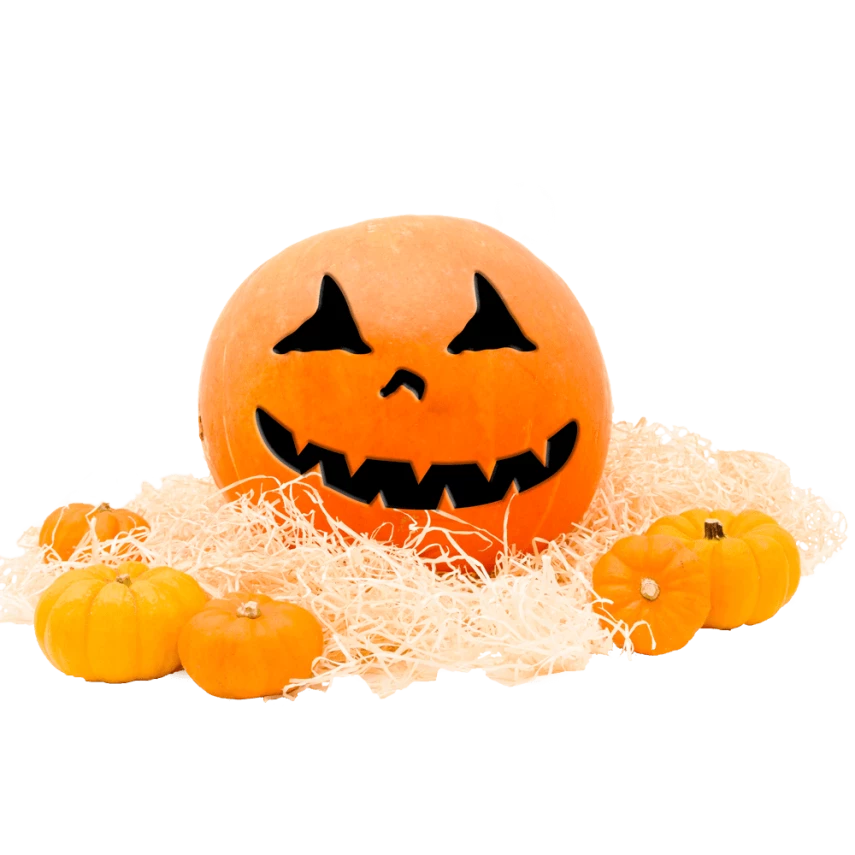 Abóbora Halloween kg