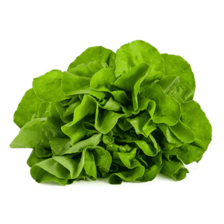 Alface Lisa Higienizada HORTMIX 180g