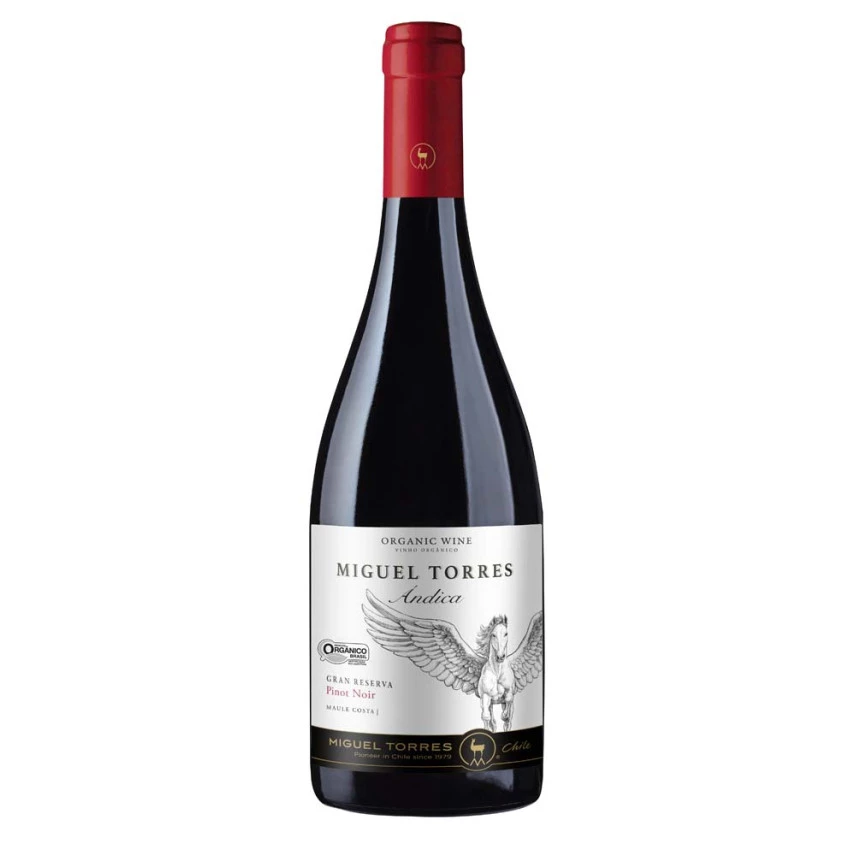 Vinho Chileno Tinto Pinot Noir Andica MIGUEL TORRES 750ml