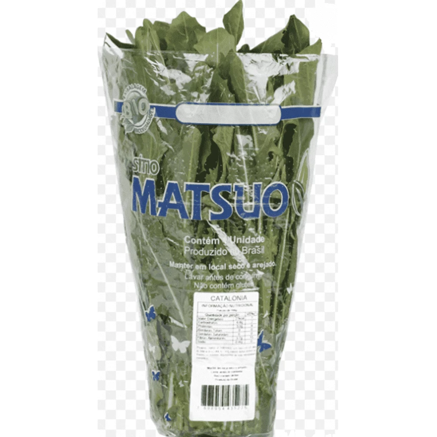 Catalonha MATSUO 