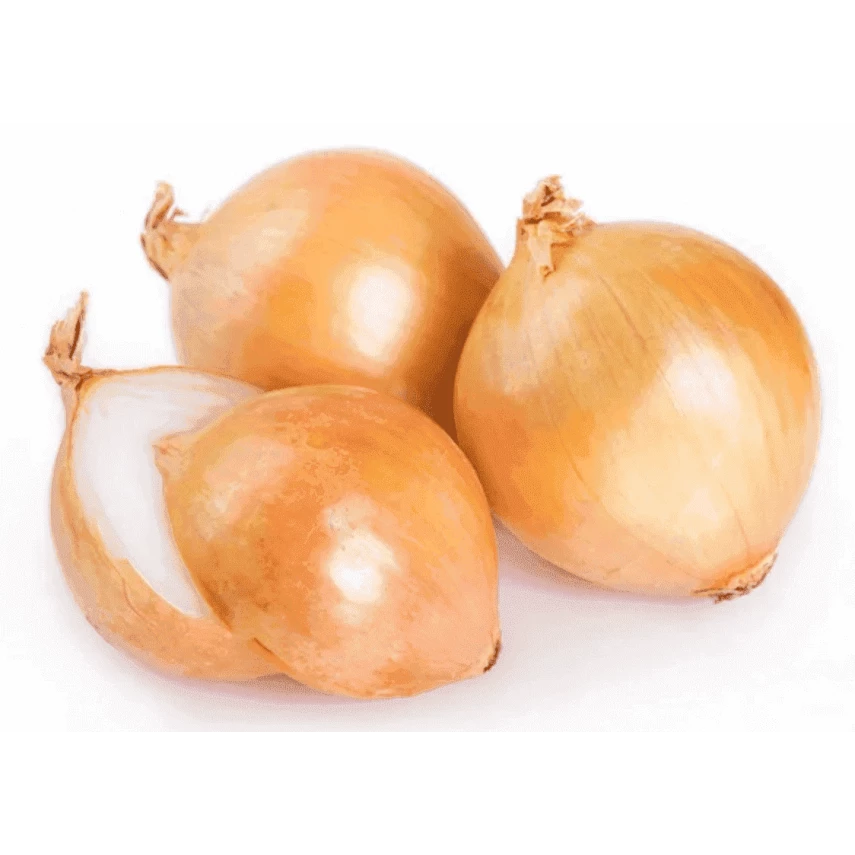 CEBOLA ORG 600G CAPELA