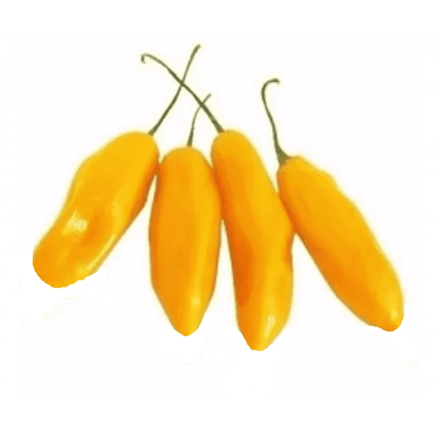 Pimenta Fidalga HORTMIX 70g
