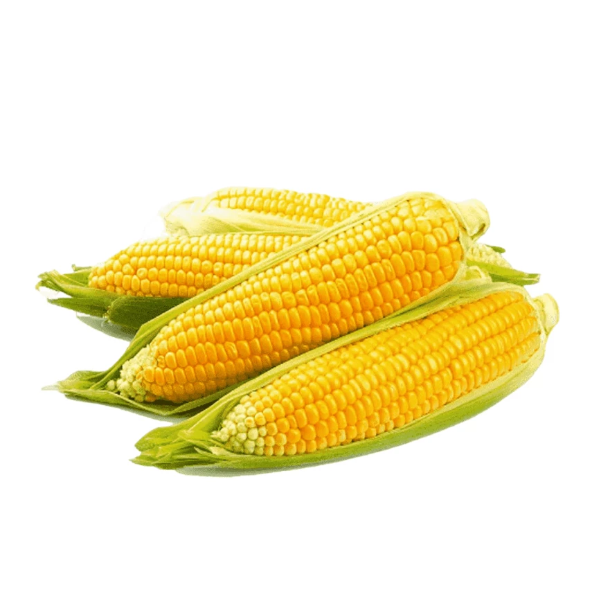 Milho Verde HORTMIX 600g