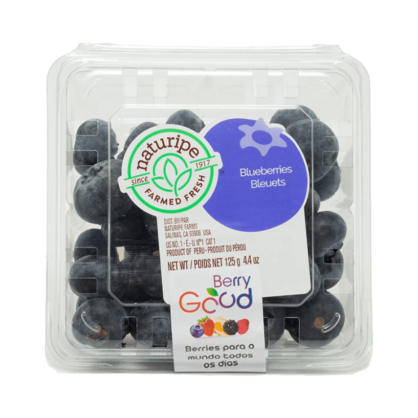 Mirtilo BERRYGOOD 125g