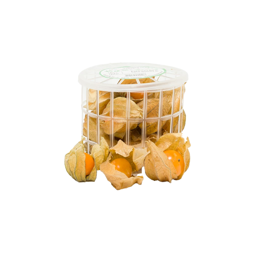 PHYSALIS 100G POT FULL