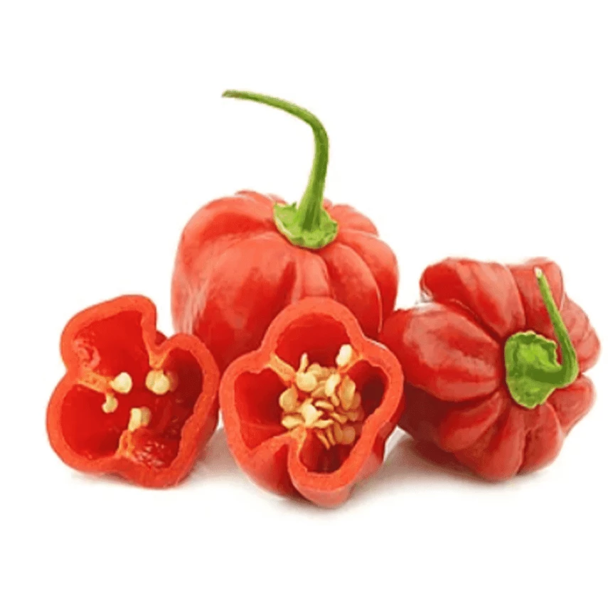 PIMENTA BODE HORTMIX 80G