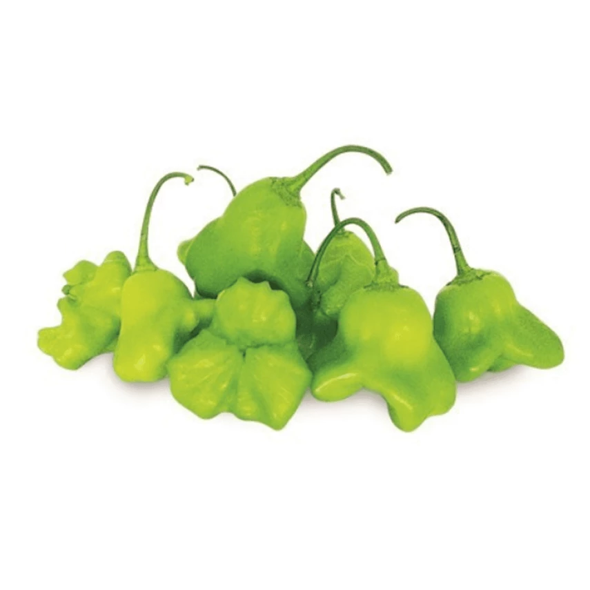 PIMENTA CAMBUCI 200G HORTMIX