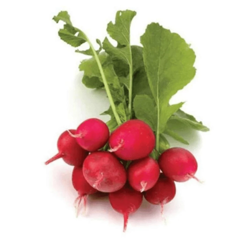 Rabanete VIVA NATURAL 500g 