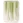 ALHO PORO MATSUSAKO ED 300G