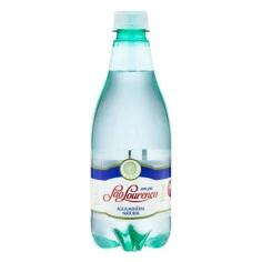 Água Mineral Natural Sem Gás SÃO LOURENÇO 510ml