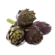 Alcachofra Und
