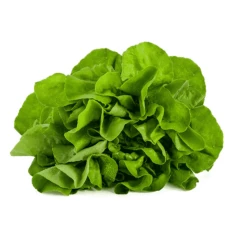 Alface Lisa Higienizada HORTMIX 180g