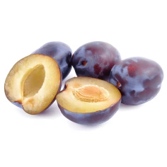 FIGO ROXO GVT