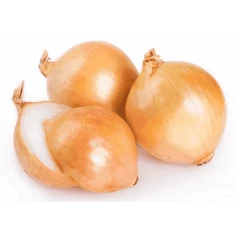 CEBOLA ORG 600G CAPELA