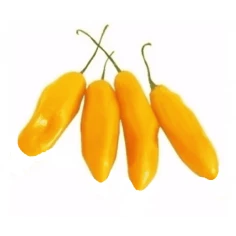 Pimenta Fidalga HORTMIX 70g