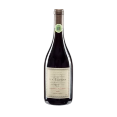 Vinho Argentino Tinto DV CATENA 750ml 