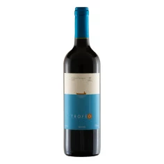Vinho Chileno Tinto Cabernet Sauvignon TROFEO 750ml