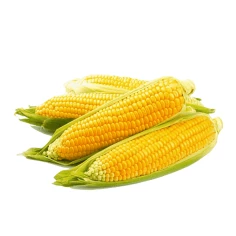 Milho Verde HORTMIX 600g