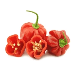 PIMENTA BODE HORTMIX 80G