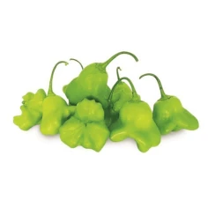 PIMENTA CAMBUCI 200G HORTMIX