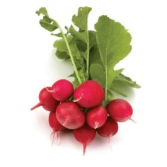 Rabanete VIVA NATURAL 500g 