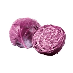 Repolho Roxo Orgânico CAPELA 300g 